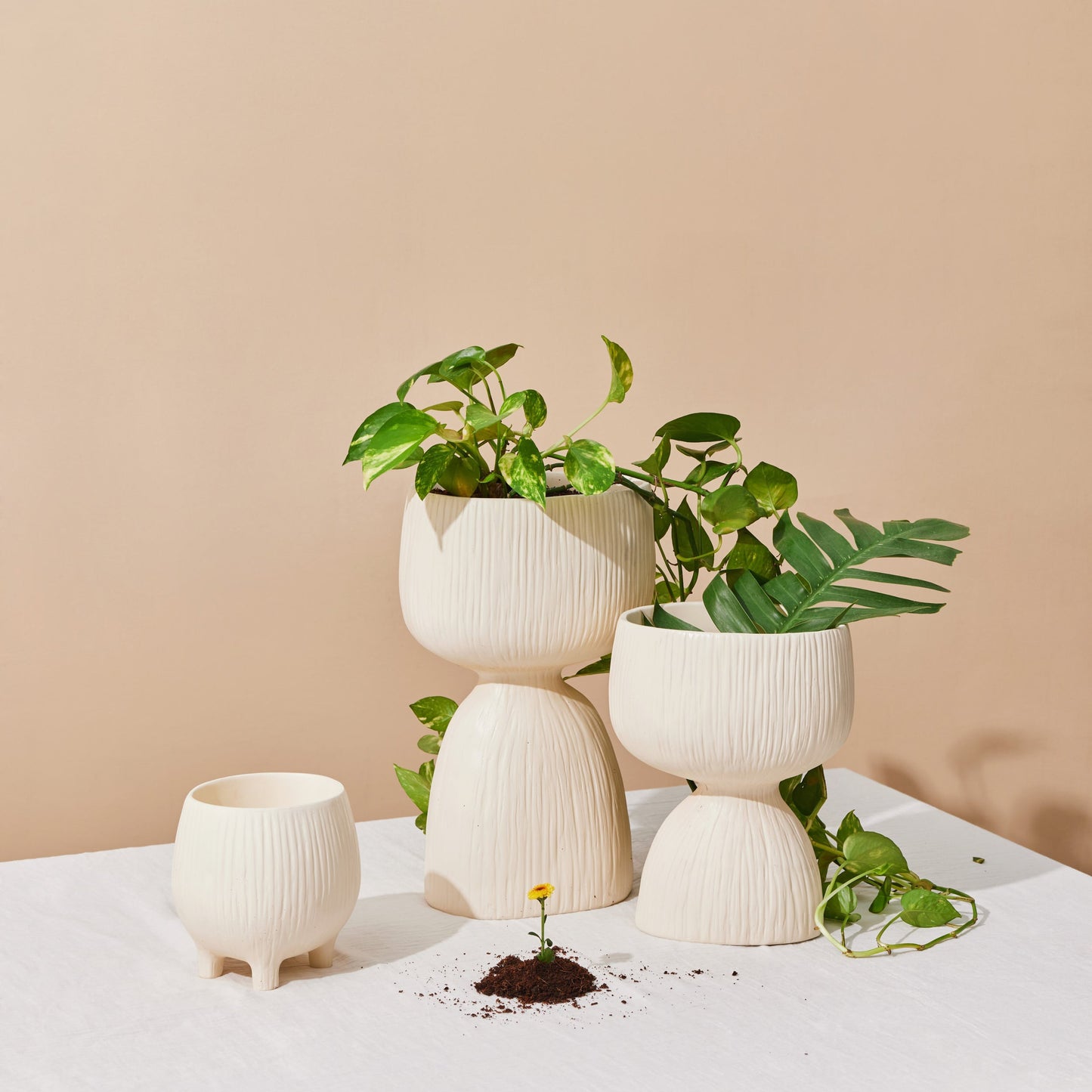 Medium Aden Organic Planter