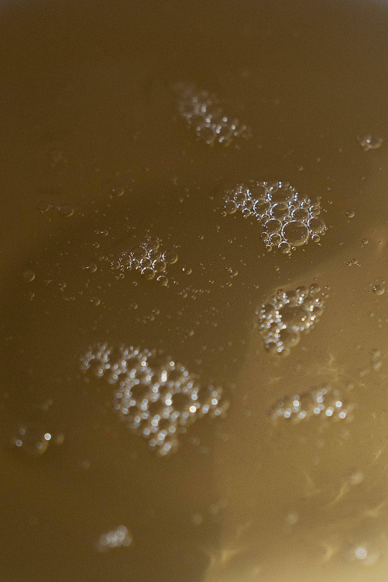 HAND SOAP: LAVENDER