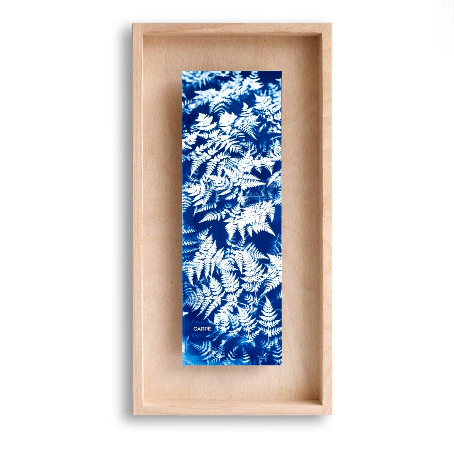 Framed Artwork - Cyanotype Fern
