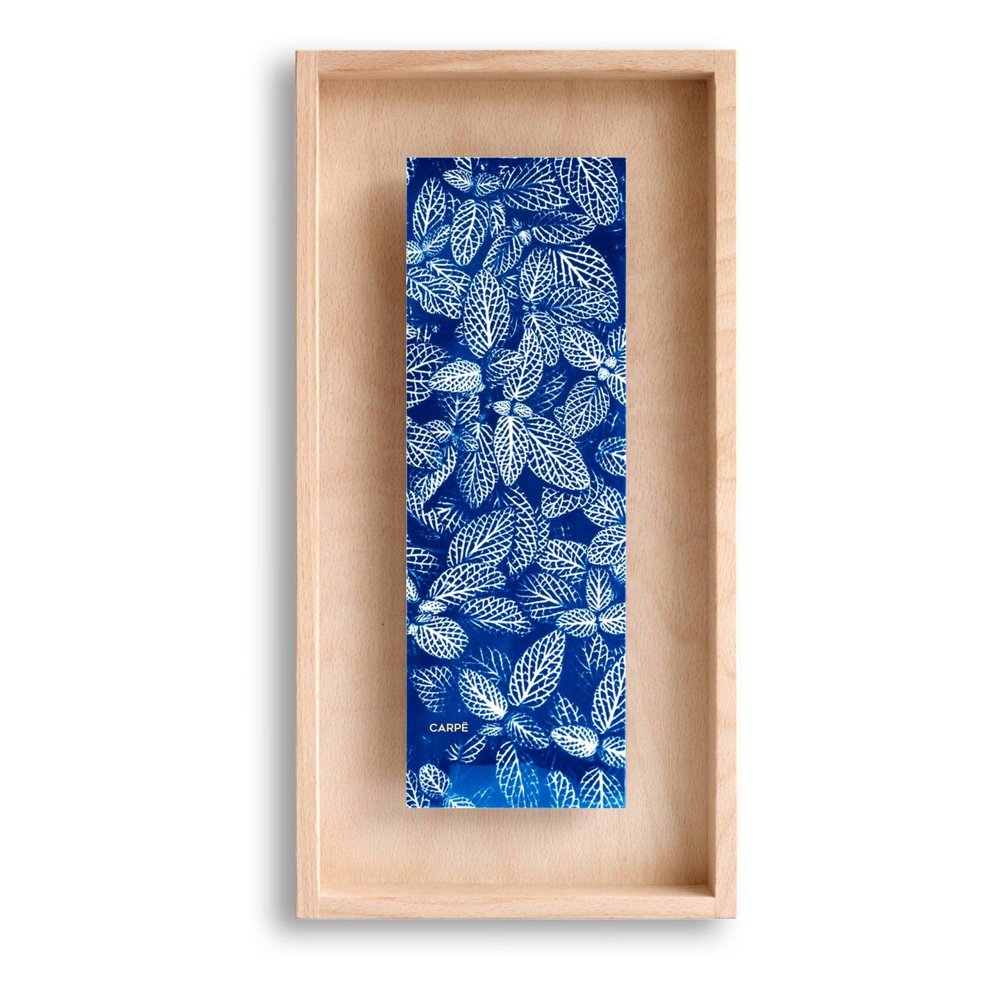 Framed Artwork - Cyanotype Fittonia