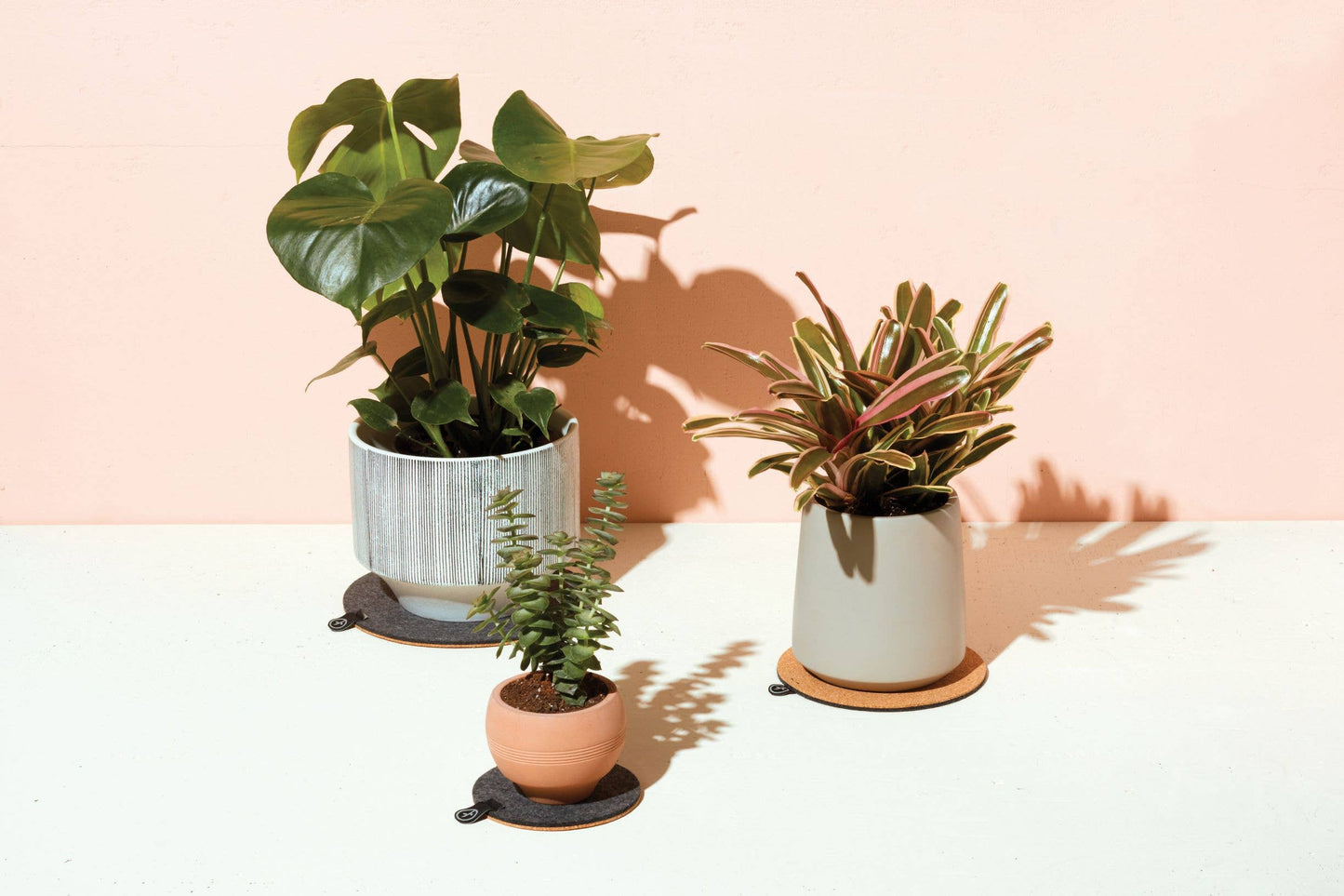 Plant Trivet - 5"
