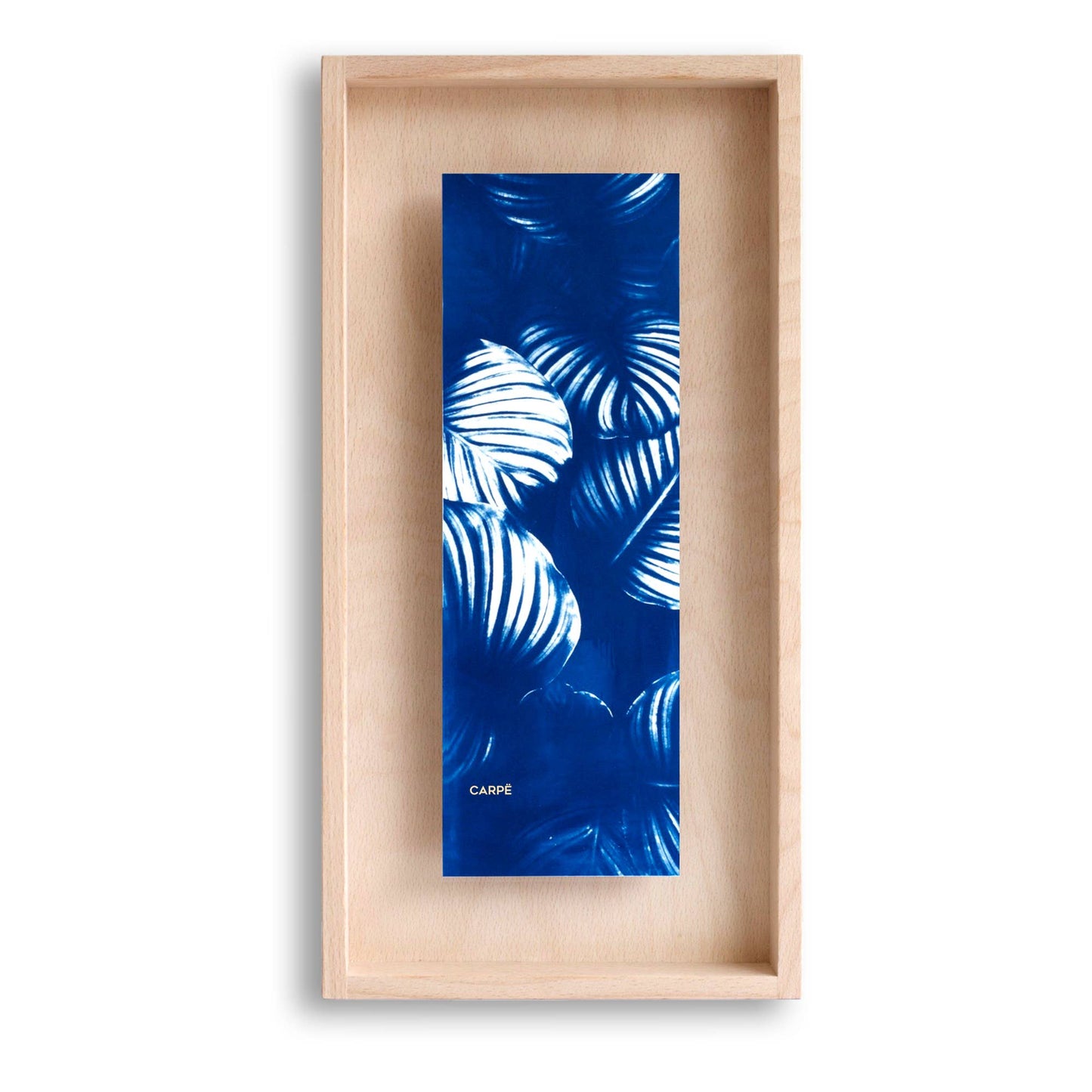 Framed Artwork - Cyanotype Calathea