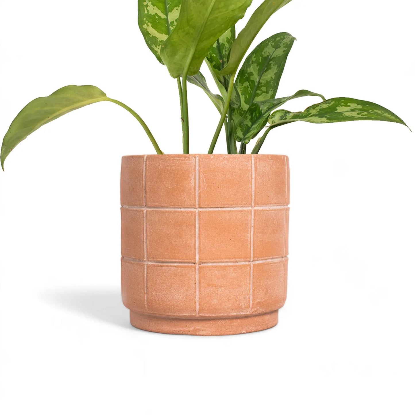 Grid Terracotta Planter - Small