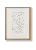 Musa Acuminata - Artwork Print