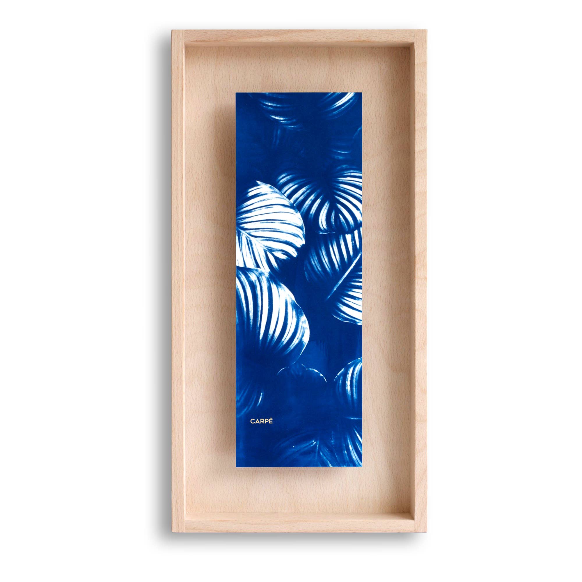 Framed Artwork - Cyanotype Calathea